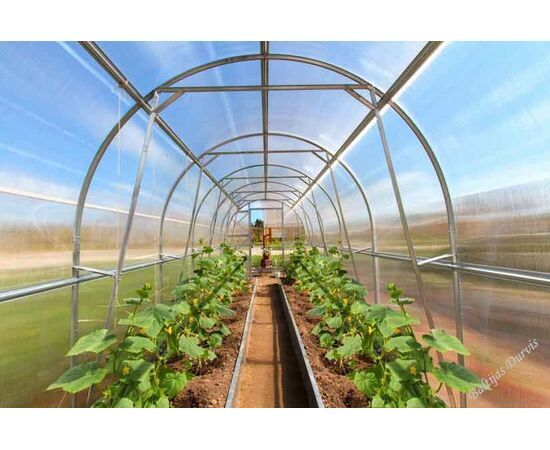 Дачная-Двушка теплица из сотового поликарбоната