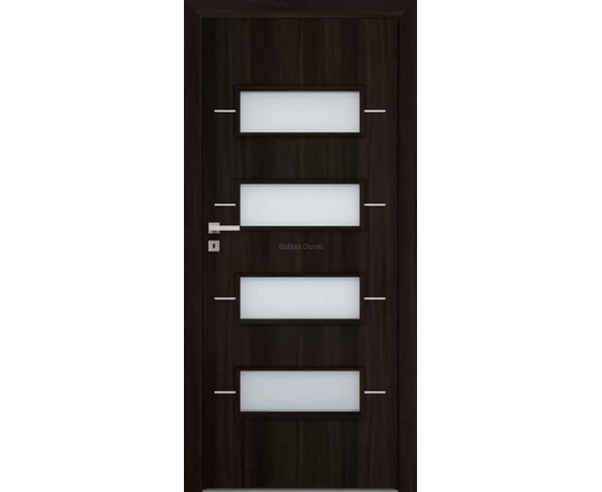 Durvis ar tumšu apdari un horizontāliem stikla paneļiem, kas papildina mūsdienīgu stilu.