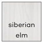 Siberian elm