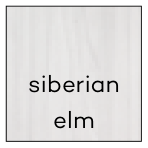 Siberian elm