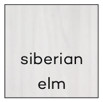 Siberian elm