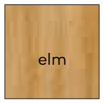 Elm