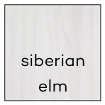 Siberian elm