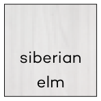 Siberian elm