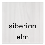 Siberian elm