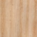 Elm
