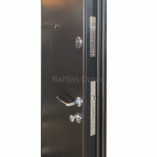Metāla durvis 602 LUX-B308