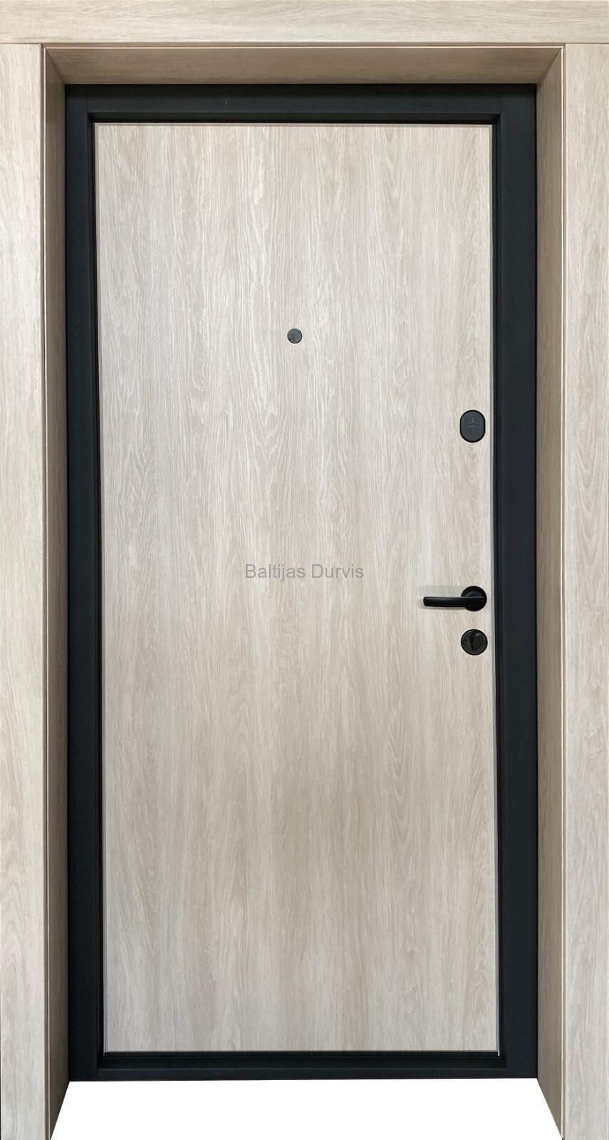 Metal door Alfa