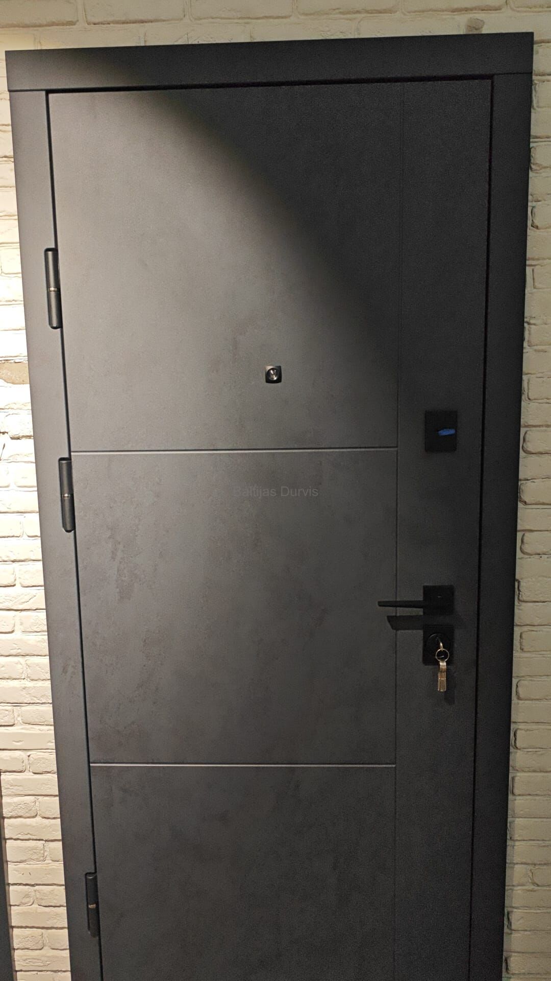 Metal door BOSTON(wood)