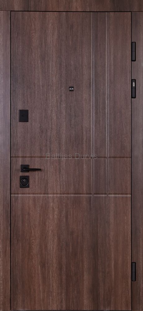 Metal door BARSELONA