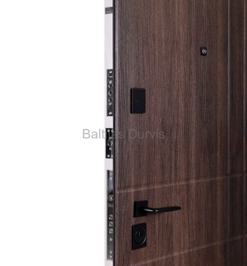 Metal door BARSELONA