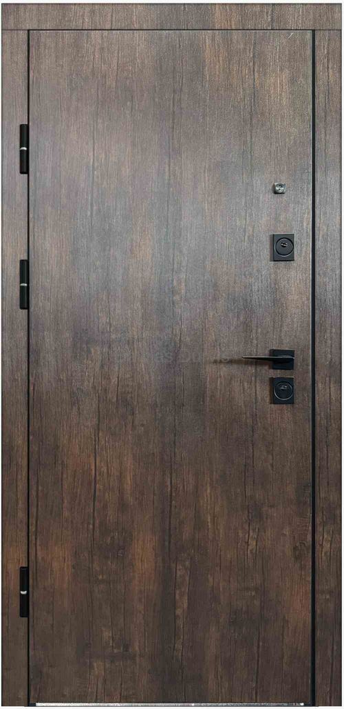 Metal door  VENERA ( mirror)