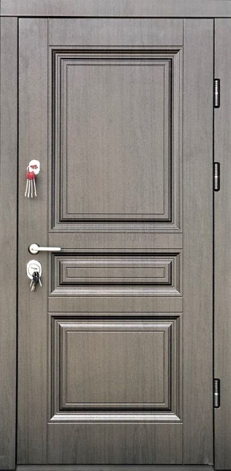 Metal door DELI New