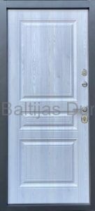 Metal door DELI New